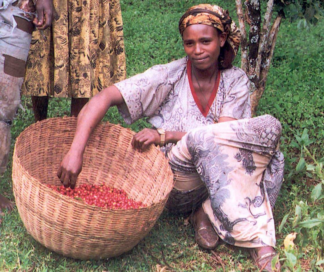 Coffee in Ethiopia