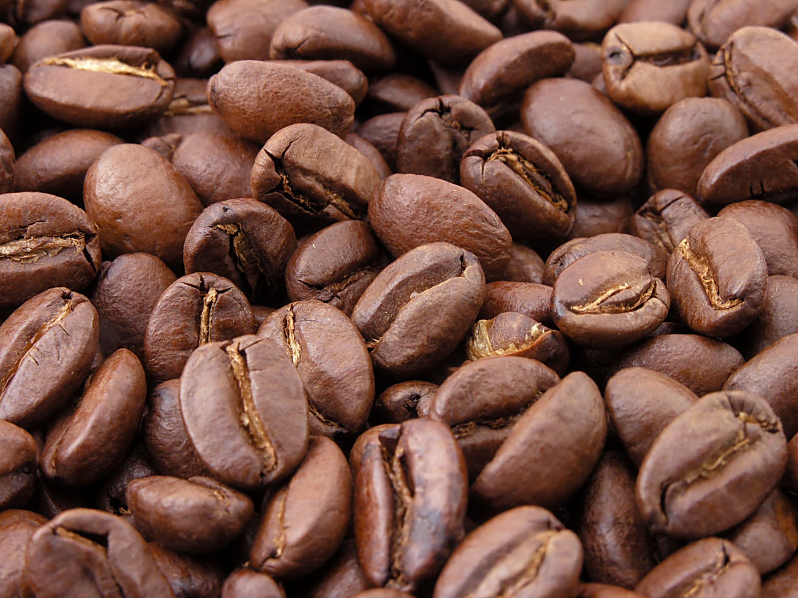 Coffee in Indonesia