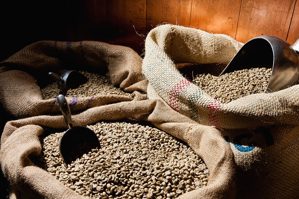 Coffee in Peru