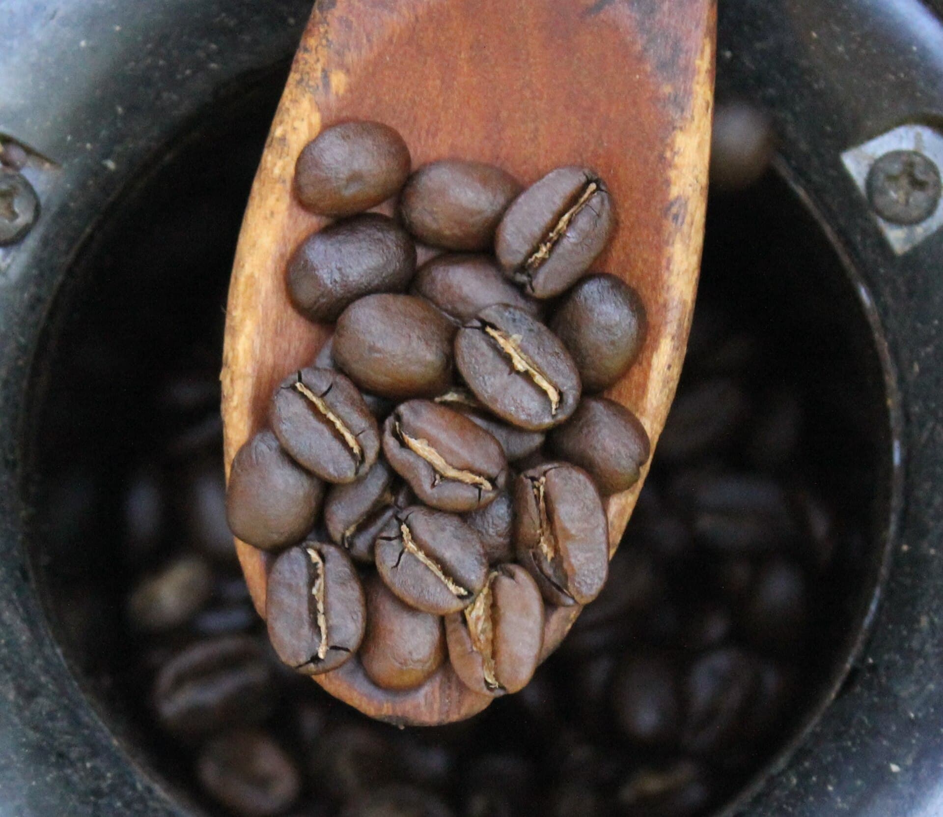 Roast development, light to dark
