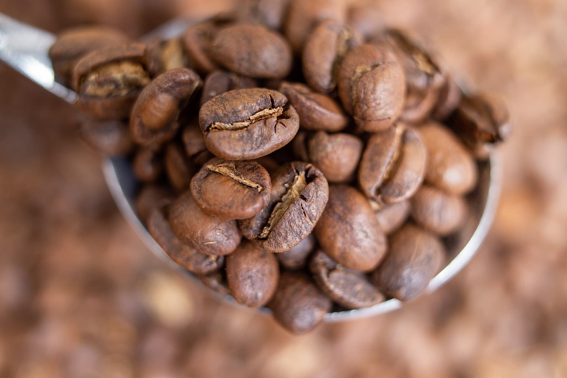Freshly roasted beans, up close