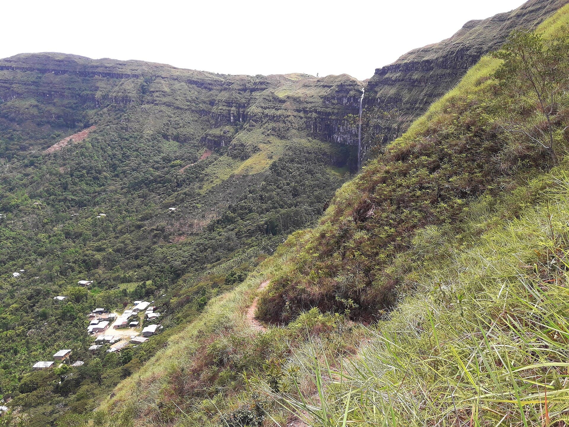 Cajamarca coffee region