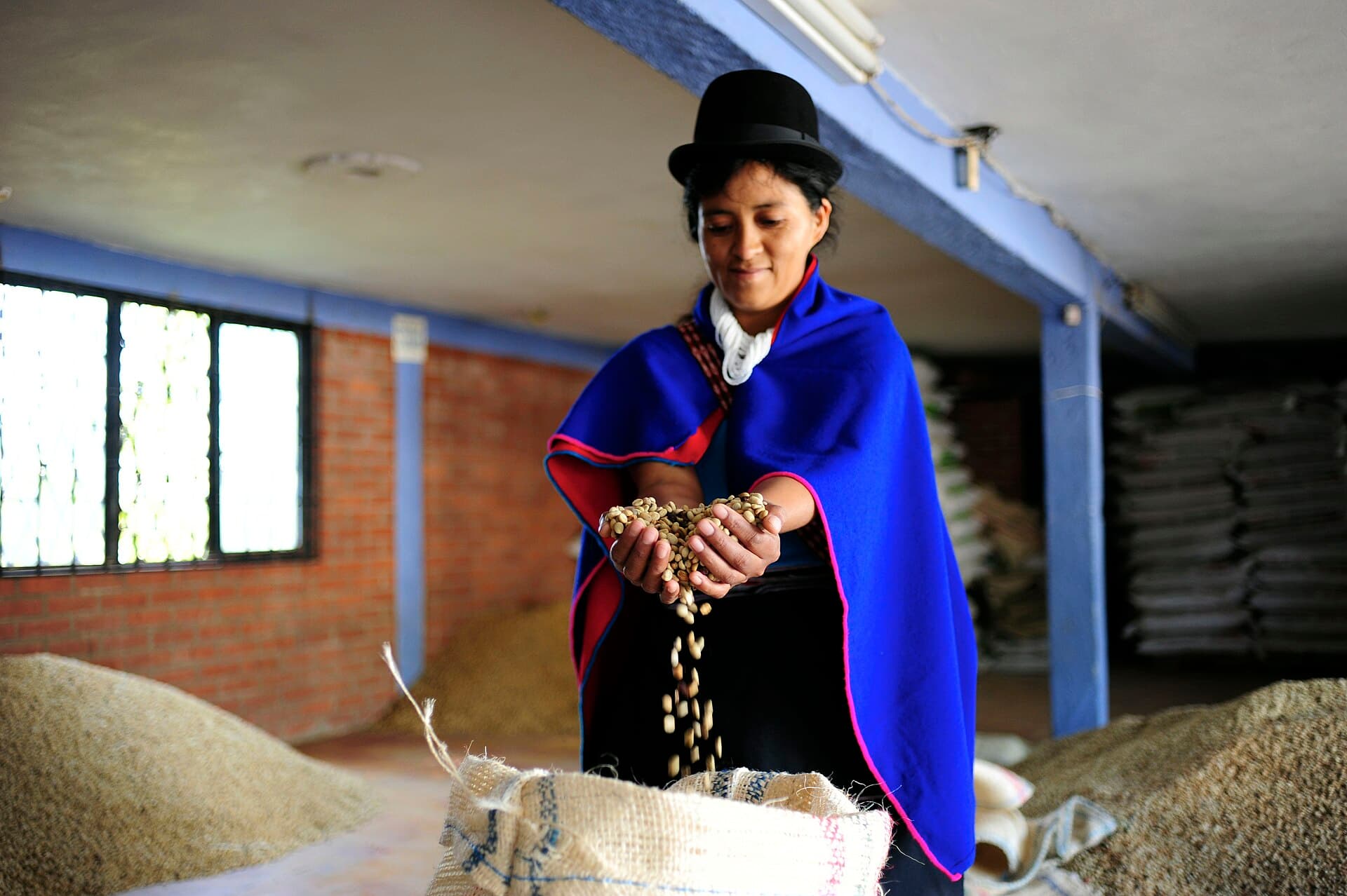 Cauca coffee region