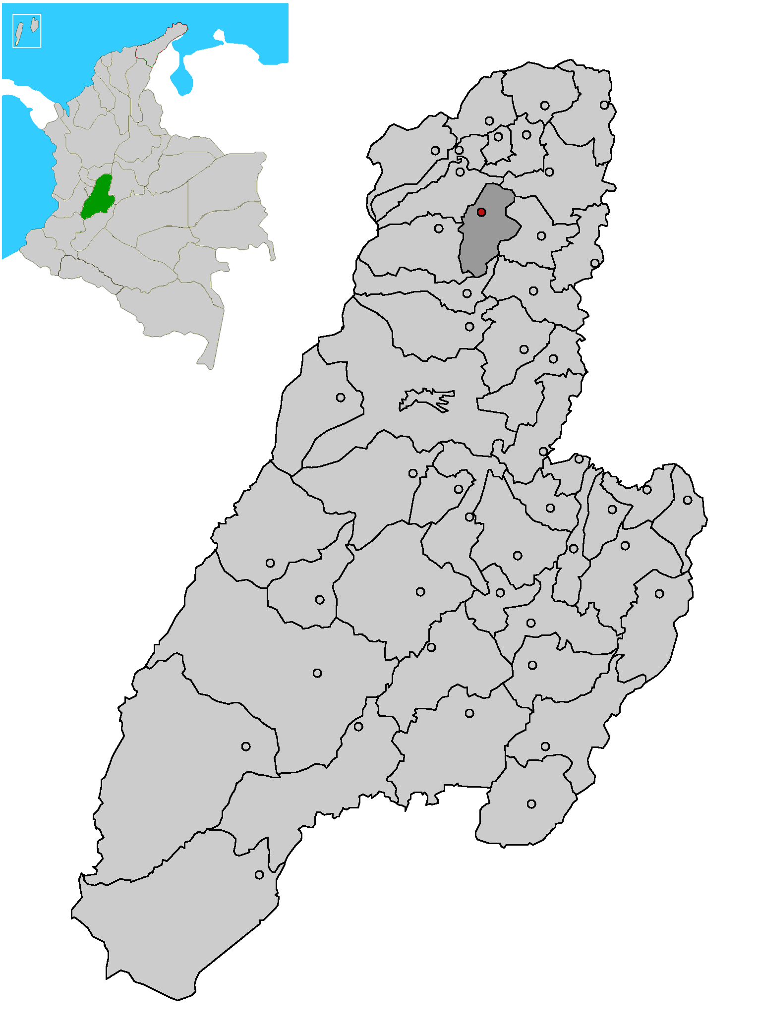 Tolima coffee region